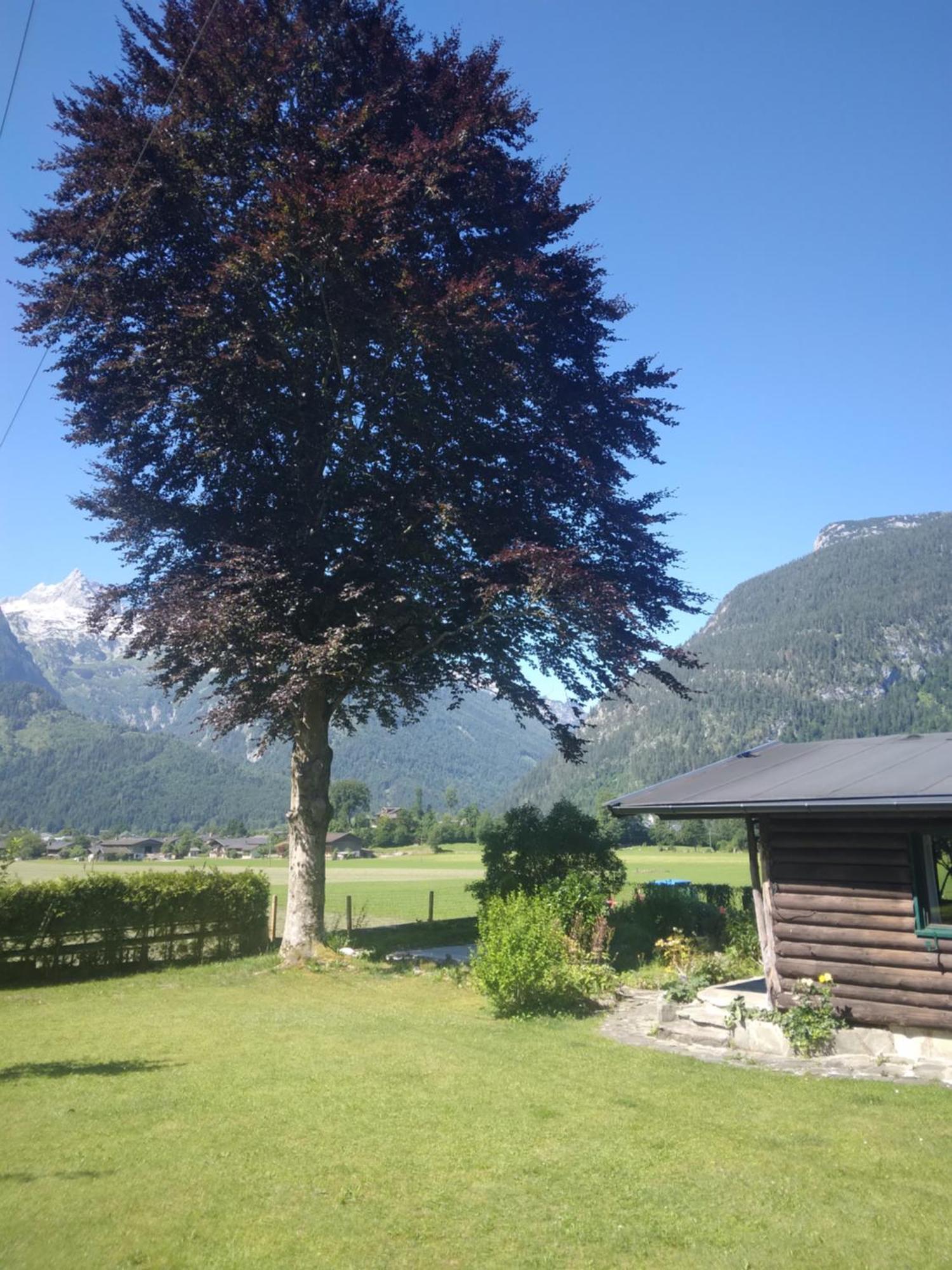 Chalet Scheffsnoth Lofer Dış mekan fotoğraf