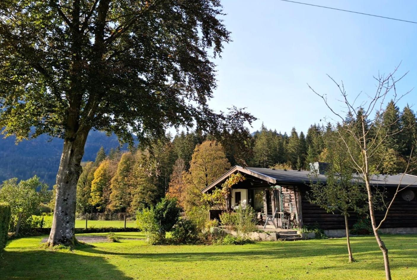 Chalet Scheffsnoth Lofer Dış mekan fotoğraf